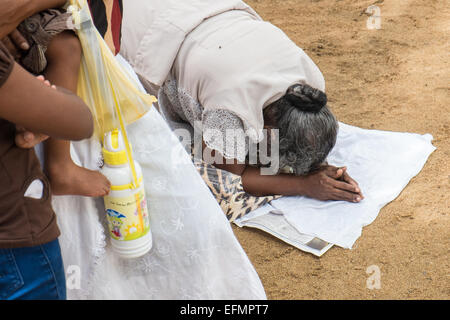 Devoto al culto sacro bo,bodhi,tree,tempio buddista,Anuradhapura,Sri Lanka,l'Asia. Foto Stock