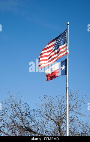 American e Texas bandiere che sventolano nel cielo blu. Foto Stock