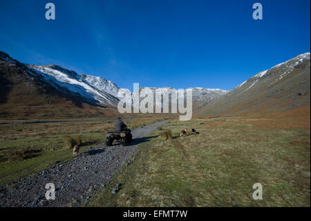 Lakeland pastore sulla sua quadbike in alto Langdale Valley, Lake District inglese. Foto Stock