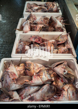 Teste di Pesce in vendita presso il mercato del pesce di Tsukiji Foto Stock