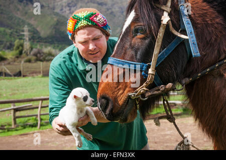 Chi detiene un piccolo cane bianco fino a un cavallo, El Toyo regione del Cajon del Maipo, Cile, Sud America Foto Stock