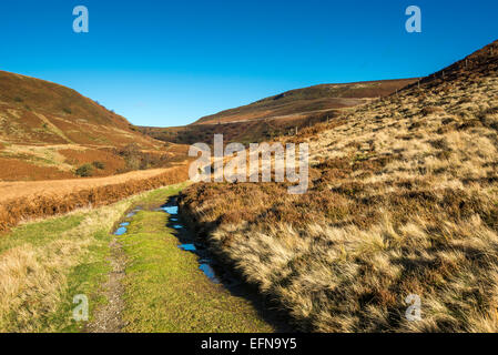 Colore di autunno nel lontano raggiunge la parte superiore della valle del Derwent nel Peak District, Derbyshire. Foto Stock