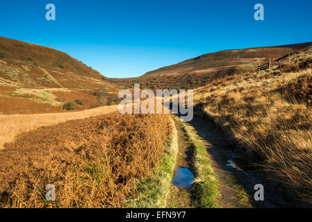 Colore di autunno nel lontano raggiunge la parte superiore della valle del Derwent nel Peak District, Derbyshire. Foto Stock