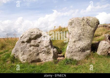 Le pietre a West Kennet Long Barrow Foto Stock