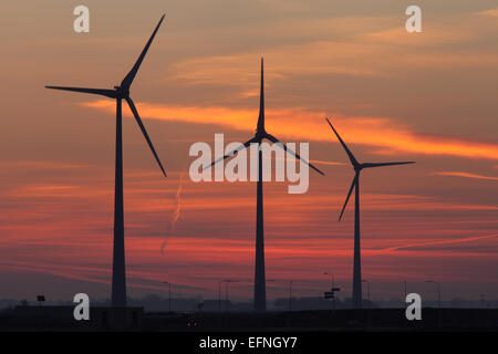 Tramonto su turbine eoliche in Eemshaven, Paesi Bassi Foto Stock
