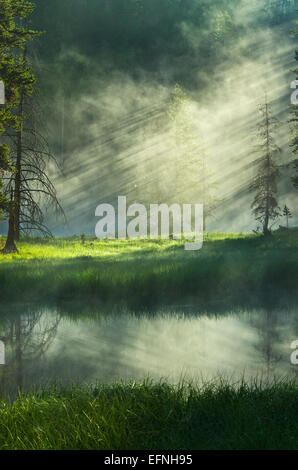 Raggi di luce di alba rottura attraverso la nebbia nel Parco Nazionale di Yellowstone, Wyoming. Foto Stock