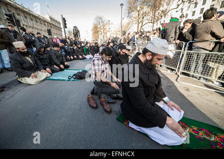 Londra, Regno Unito. 8 febbraio, 2015. I musulmani britannici mezzogiorno-preghiere su Whitehall. Credito: Guy Corbishley/Alamy Live News Foto Stock