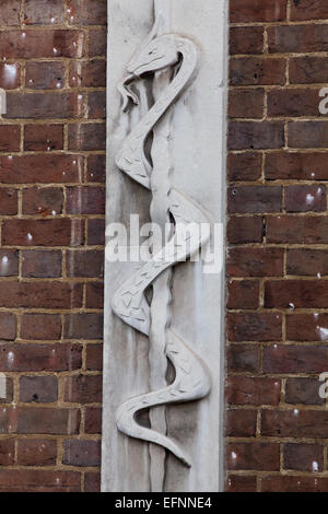 Il bassorilievo scultura di un intrecciano Saettone (Zamensis longissimus), precedentemente Elaphe longissimus. Logo. Qui su una parete esterna di San Bartolomeo's Hospital, Charterhouse Square, Barbican, Londra.​ Foto Stock