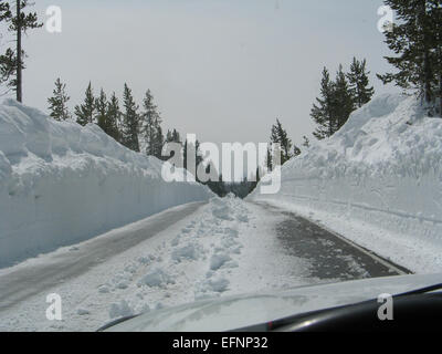 A sud del fiume di Lewis, cercando di ottenere per il Canyon primavera arando; Davey Wyatt; la molla, 2011 Foto Stock