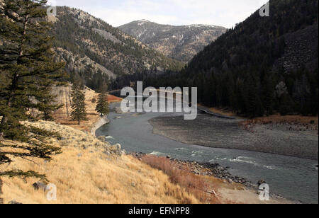 Il fiume Yellowstone scorre attraverso il Black Canyon nel parco nazionale di Yellowstone. Conosciuto per la sua bellezza paesaggistica e il suo significato geologico, il fiume si snoda attraverso terreni accidentati, offrendo vedute di scogliere e foreste. È una fonte d'acqua vitale per l'ecosistema del parco e svolge un ruolo chiave nei suoi processi naturali. Foto Stock