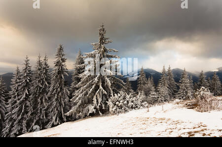Incantevole paesaggio invernale con coperta di neve alberi. Foto Stock