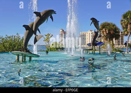 Fontana dei delfini sull isola di bayfront Park di Sarasota in Florida. Foto Stock