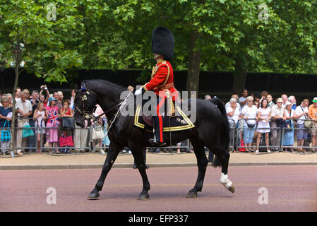 Trooping dei colori per la regina il compleanno di Londra, 2006. Foto Stock