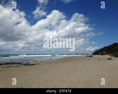 Shelly Beach, Ballina, NSW, Australia. Il 9 febbraio, 2015. Un uomo è morto in seguito a un attacco di squalo a Shelly Beach, Ballina, NSW. È riportato il 'grande' shark aggredito da dietro e mordere sia le mans gambe. L attentato avvenuto a circa 945am ora locale. Ballina è situato a 30km a sud di Byron Bay, all'estremo nord della costa del NSW. Le spiagge della zona sono state chiuse. Credito: Ben Wyeth/Alamy Live News Foto Stock