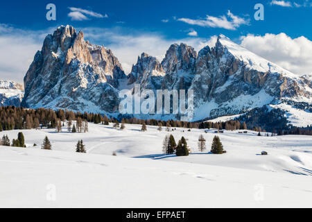 Scenic inverno vista di Alpe di Siusi Alpe di Siusi con Sassolungo Sassolungo in background, Dolomiti, Alto Adige, Italia Foto Stock