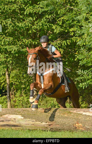 Tredici-anno-vecchia ragazza che indossa il casco paraschiena back Sport irlandesi Pony cavallo negoziando tronco di albero in Germania Foto Stock