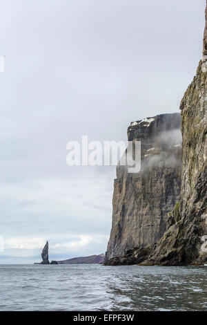 Ripide scogliere riempito di uccelli nidificanti sul lato sud di Bjornoya (Isola di Bear), isole Svalbard, Norvegia, Scandinavia, Europa Foto Stock