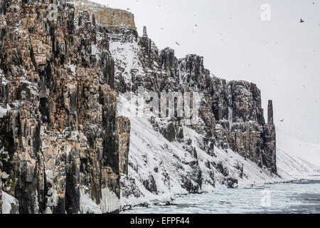 Tempesta di neve avvicinando Alkefjelet, Cape Fanshawe, Spitsbergen, Svalbard, Norvegia, Scandinavia, Europa Foto Stock