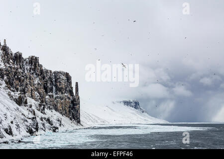 Tempesta di neve avvicinando Alkefjelet, Cape Fanshawe, Spitsbergen, Svalbard, Norvegia, Scandinavia, Europa Foto Stock