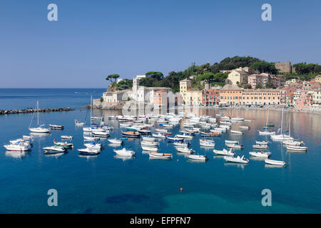 Baia del Silenzio baia, Chiesa di San Nicolò Chiesa, Sestri Levante, Provincia di Genova e la Riviera di Levante, Liguria, Italia Foto Stock