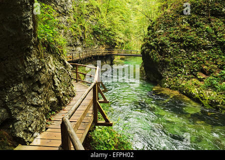 Fiume Radovna, Gola Gorge, Gorje, Bled, Slovenia, Europa Foto Stock