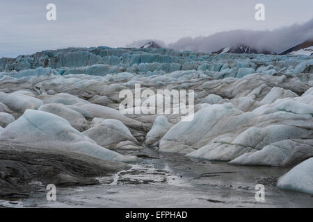 Grande ghiacciaio in Hornsund, Svalbard artico, Norvegia, Scandinavia, Europa Foto Stock