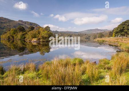 L'acqua ancora di Rydal acqua nel Parco Nazionale del Distretto dei Laghi, Cumbria, England, Regno Unito, Europa Foto Stock