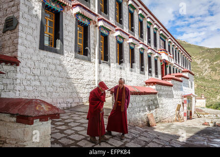 Unidentified monaci buddisti tibetani riprodurre musica per la cerimonia di apertura del Festival di Hemis al monastero di Hemis in Leh, Ladakh, marmellata Foto Stock