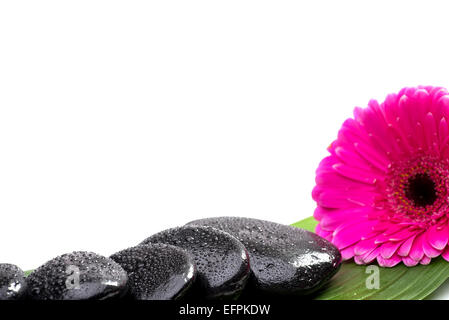 Spa pietre sulla foglia verde, con fiore Foto Stock