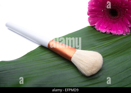 Trucco pennello sulla foglia verde Foto Stock