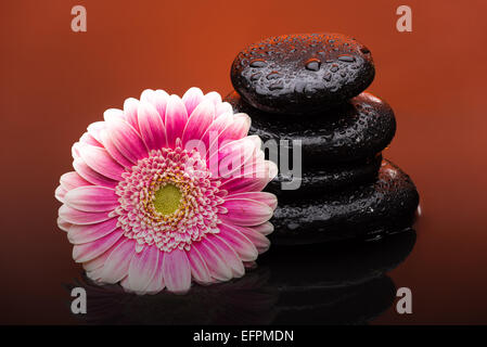 Massaggio con pietre di grande fiore e gocce di acqua Foto Stock