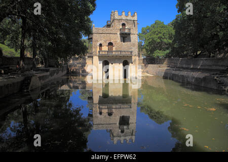 Bagni Fassilides (1667), Gonder, Amhara Region, Etiopia Foto Stock