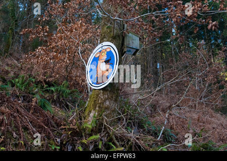 "Gruffalo nei boschi' Cardinham boschi frequentata da escursionisti, ciclisti ed escursionisti di cane vicino a Bodmin, North Cornwall. Foto Stock