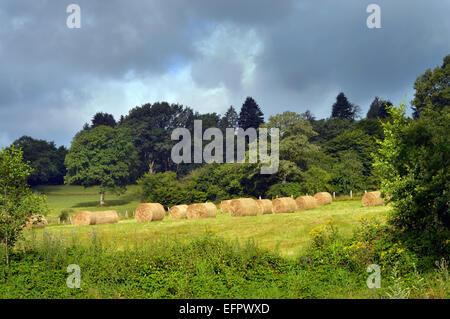 Paesaggio delle Ardenne - Round balle di fieno in un prato e un cielo nuvoloso scuro nelle Ardenne belghe Foto Stock