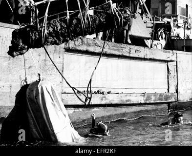 AJAXNETPHOTO. Novembre, 1971. SOLENT, Inghilterra. - Recupero di cannone - una seconda pistola ferro recuperato dal relitto della nave da guerra TUDOR MARY ROSE utilizzando l'AIR BAG SI VEDE A sinistra della foto per portarlo alla superficie. Foto: AJAX NEWS FOTO REF:ARCPR BP9601 Foto Stock