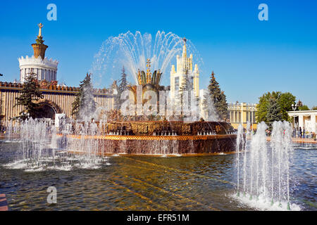 Il Fiore di Pietra Fontana al All-Russia Exhibition Centre (VDNKh). Mosca, Russia. Foto Stock