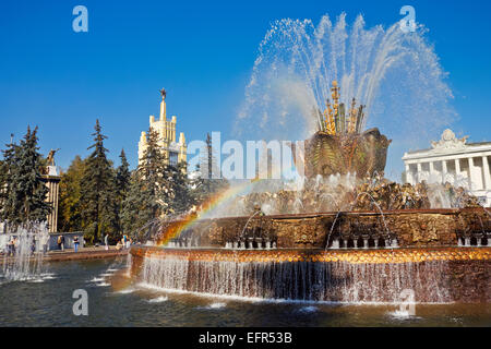 Il Fiore di Pietra Fontana al All-Russia Exhibition Centre (VDNKh). Mosca, Russia. Foto Stock