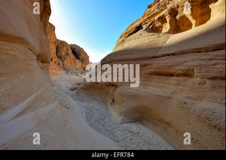 Uno di un certo numero di strette spettacolare wind eroso canyon nel sud nel deserto del Sinai, Abu Hamata Foto Stock