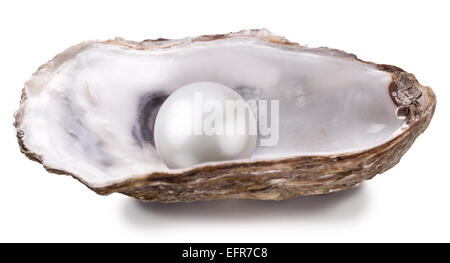 Aprire ostrica con perla isolati su sfondo bianco. Foto Stock