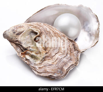 Aprire ostrica con perla isolati su sfondo bianco. Foto Stock