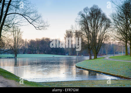 Immagine di stock di un lago ghiacciato al mattino presto Foto Stock