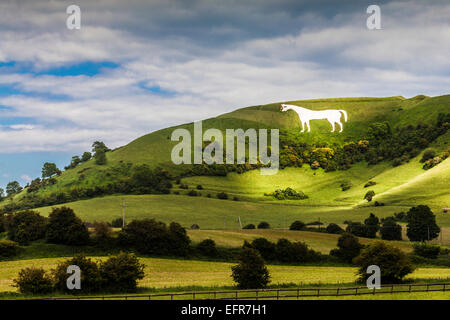 Il Cavallo Bianco sotto Bratton Camp, un'età del ferro hillfort vicino al Westbury nel Wiltshire. Foto Stock