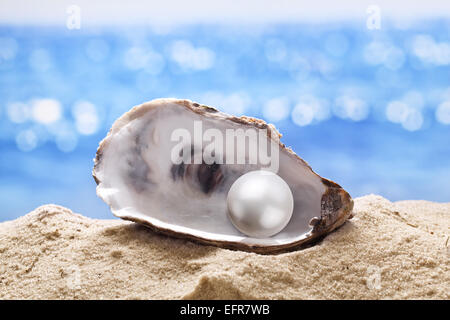 Guscio con una perla in un mare di sabbia. Foto Stock