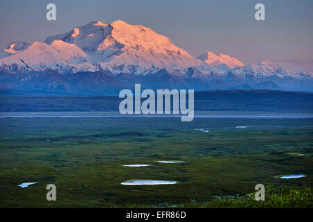 Vista di Snow capped Monte McKinley al tramonto, Parco Nazionale di Denali, Alaska, STATI UNITI D'AMERICA Foto Stock