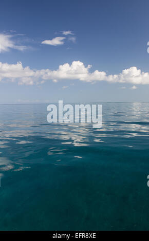 Acqua calma su un giorno d'estate. Foto Stock