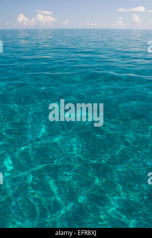 Acqua calma su un giorno d'estate. Foto Stock