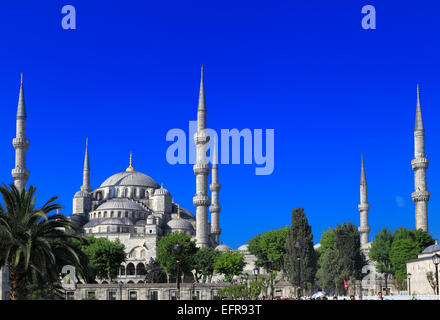 Sultan Ahmed moschea o la Moschea Blu (1609-1617), Istanbul, Turchia Foto Stock