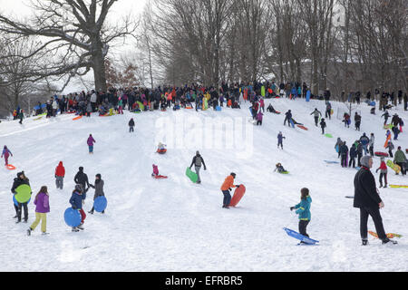 Famiglie slittino e persone appena fuori a godersi Prospect Park dopo una nevicata a Park Slope, Brooklyn, New York. Foto Stock