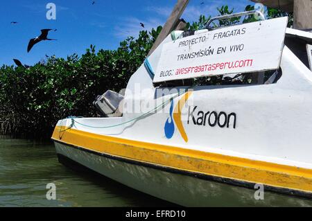 GPS - Monitoraggio" Frigate Bird progetto '-' Isla de los Pajaros ' - PUERTO PIZARRO. Dipartimento di Tumbes .PERÙ Foto Stock