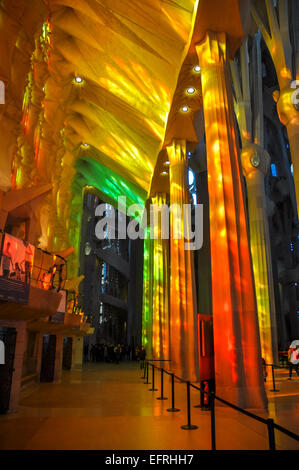 Barcellona Spagna chiesa della Sagrada Familia architettura interni Foto Stock